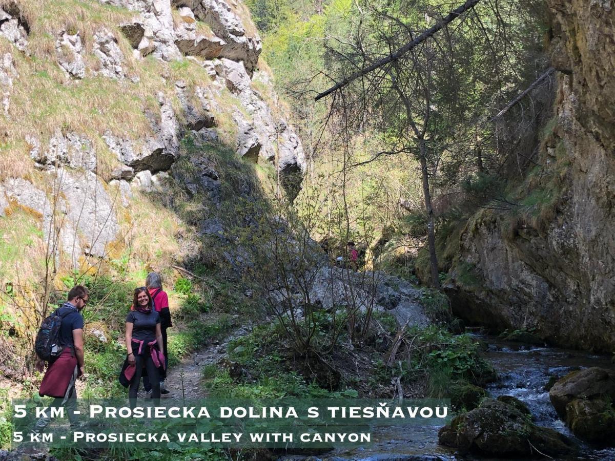 Wellness Villa Liptov Liptovská Sielnica المظهر الخارجي الصورة